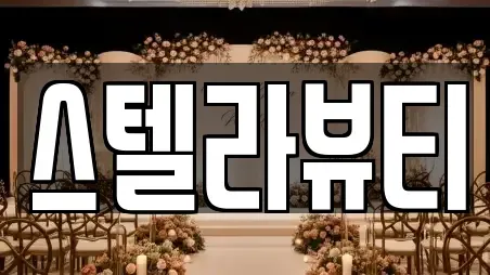 스텔라뷰티