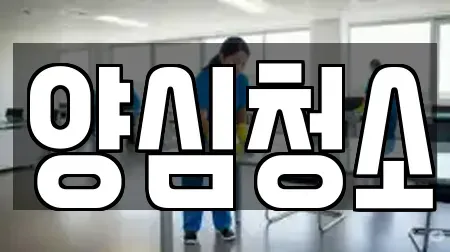 양심청소