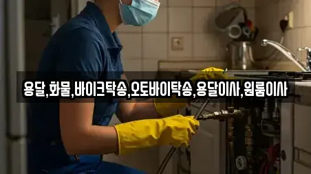 용달,화물,바이크탁송,오토바이탁송,용달이사,원룸이사