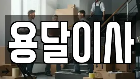용달이사