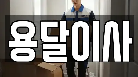 용달이사