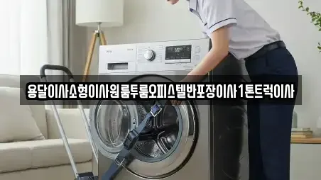용달이사소형이사원룸투룸오피스텔반포장이사1톤트럭이사