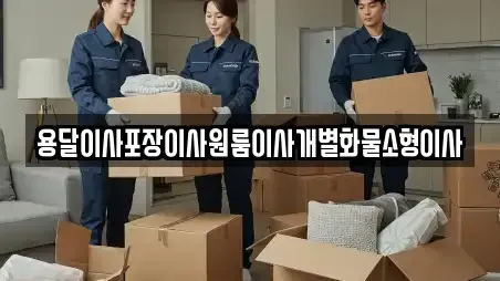 전북 김제시 신덕동 포장이사 TOP 5 순위