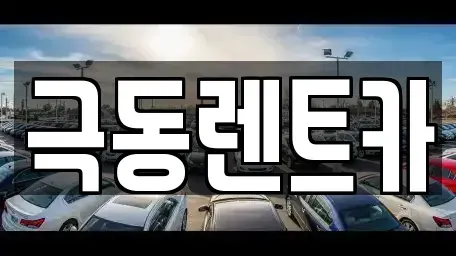 울산 북구 신천동 렌트카 전문 극동렌트카
