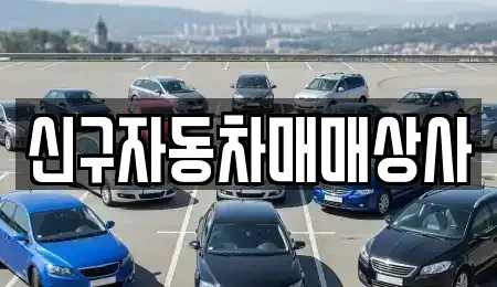 울산 북구 신천동 중고차매매 전문 신구자동차매매상사