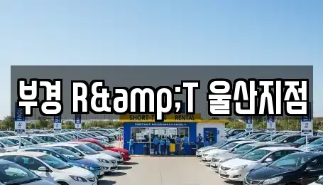 울산광역시 남구 매암동 렌트카 전문 부경 R&T 울산지점