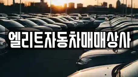 울산광역시 울주군 온산읍 중고차 전문 엘리트자동차매매상사