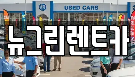 울산광역시 중구 성안동 렌트카 전문 뉴그린렌트카