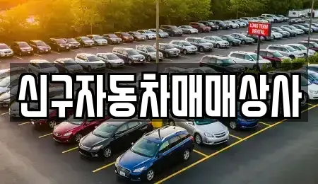 울산광역시 중구 성안동 중고차매매 전문 신구자동차매매상사