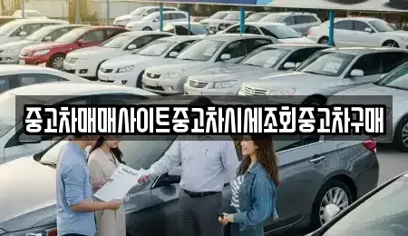 인천 강화군 교동면 중고차 전문 중고차매매사이트중고차시세조회중고차구매