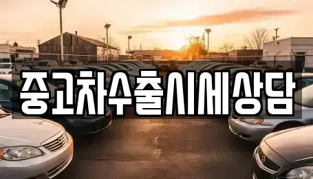 인천 강화군 교동면 중고차매매 전문 중고차수출시세상담