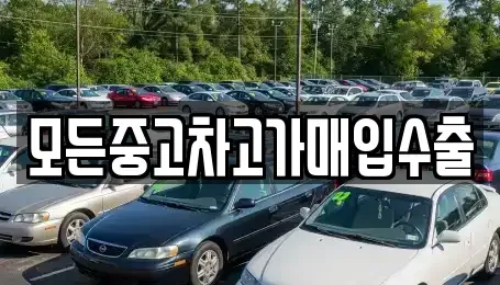 인천 동구 송현동 중고차 전문 모든중고차고가매입수출