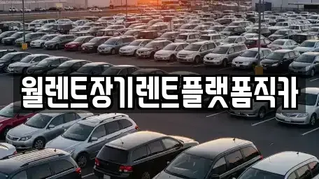 인천 미추홀구 숭의동 장기렌트카 전문 월렌트장기렌트플랫폼직카