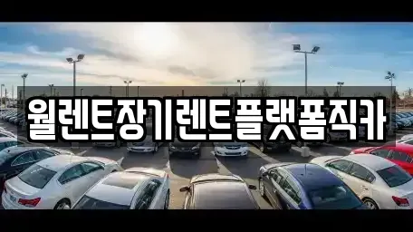 인천 서구 가좌동 장기렌트카 전문 월렌트장기렌트플랫폼직카