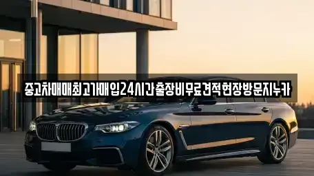 인천 서구 가좌동 중고차매입 전문 중고차매매최고가매입24시간출장비무료견적현장방문지누카