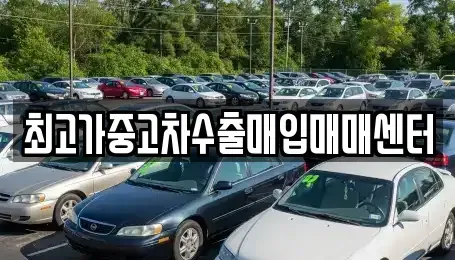 인천 서구 가좌동 중고차매입 전문 최고가중고차수출매입매매센터
