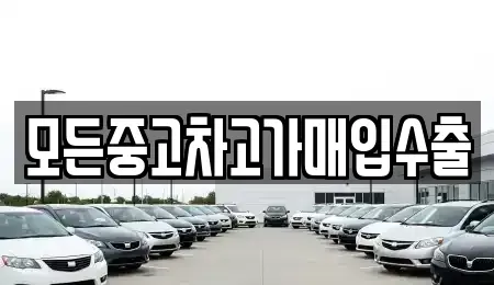 인천 중구 내동 중고차매매 전문 모든중고차고가매입수출