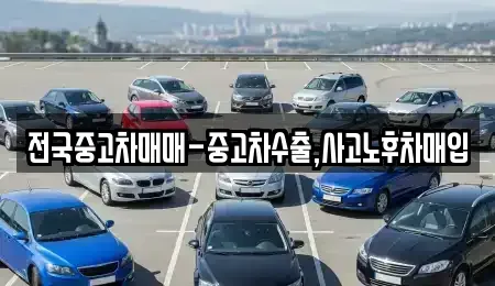 인천 중구 내동 중고차매매 전문 전국중고차매매-중고차수출,사고노후차매입