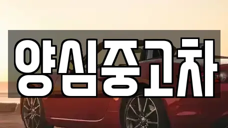 인천광역시 계양구 노오지동 중고차 전문 양심중고차