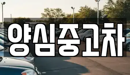 인천광역시 남동구 도림동 중고차매매,단기렌트카,중고차매입,장기렌트카,중고차,렌트카