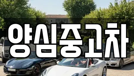 인천광역시 남동구 수산동 중고차 전문 양심중고차
