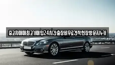 인천광역시 남동구 수산동 중고차 전문 중고차매매최고가매입24시간출장비무료견적현장방문지누카