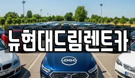 인천광역시 동구 금곡동 렌트카 전문 뉴현대드림렌트카