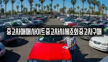 인천광역시 중구 신생동 중고차매매 전문 중고차매매사이트중고차시세조회중고차구매