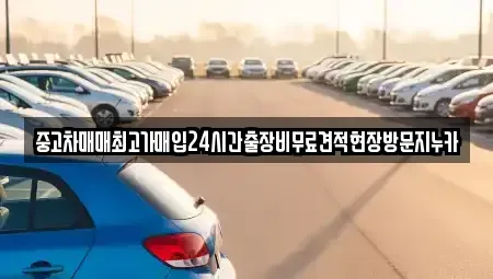 인천광역시 중구 신생동 중고차매입 전문 중고차매매최고가매입24시간출장비무료견적현장방문지누카