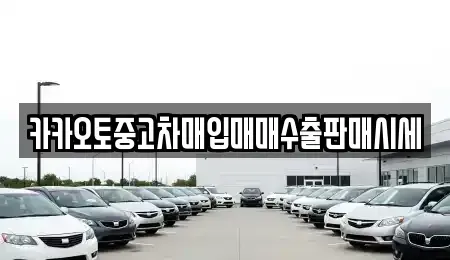 인천광역시 중구 신생동 중고차매입 전문 카카오토중고차매입매매수출판매시세