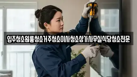 입주청소원룸청소거주청소이사청소상가사무실식당청소전문