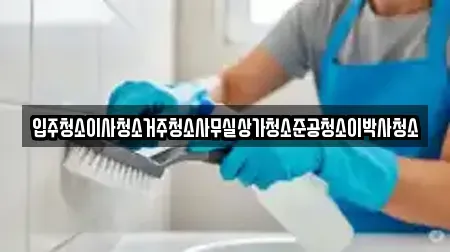 입주청소이사청소거주청소사무실상가청소준공청소이박사청소