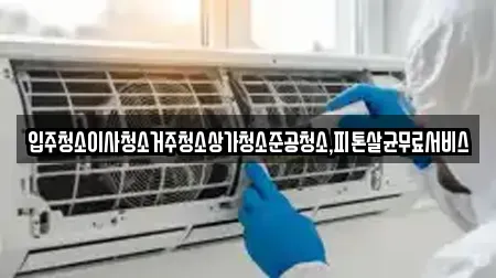 입주청소이사청소거주청소상가청소준공청소,피톤살균무료서비스