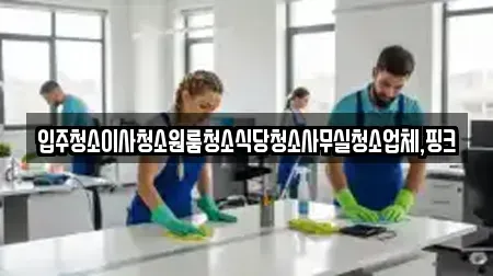 입주청소이사청소원룸청소식당청소사무실청소업체,핑크