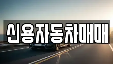 전남 곡성군 오곡면 중고차 전문 신용자동차매매