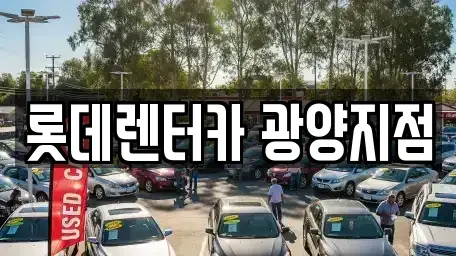 전남 광양시 광영동 장기렌트카 전문 롯데렌터카 광양지점