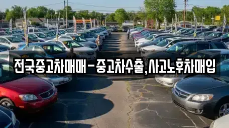 전남 광양시 금호동 중고차매입 전문 전국중고차매매-중고차수출,사고노후차매입