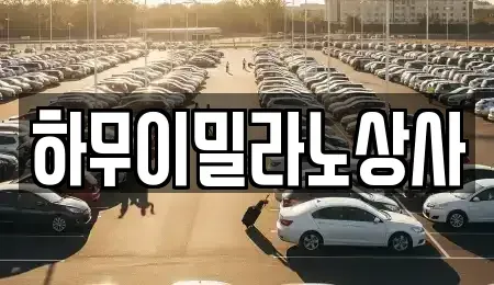 전남 나주시 안창동 중고차 전문 하무이밀라노상사