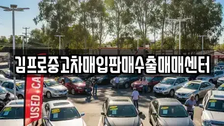 전남 목포시 온금동 중고차매입 전문 김프로중고차매입판매수출매매센터