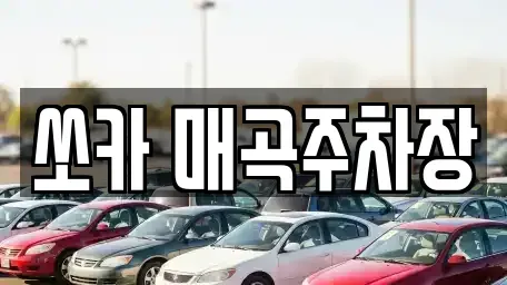 전남 순천시 남내동 렌트카 전문 쏘카 매곡주차장