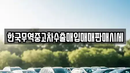 전남 순천시 남내동 중고차매입 전문 한국무역중고차수출매입매매판매시세