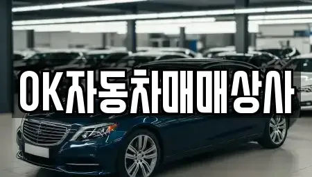 전남 여수시 고소동 중고차 전문 OK자동차매매상사