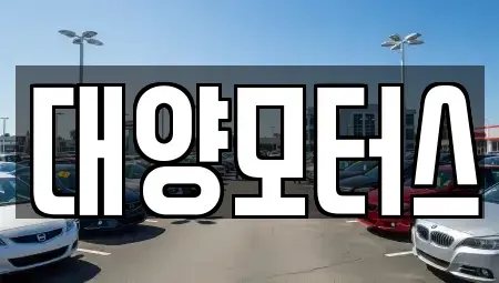 전남 여수시 고소동 중고차 전문 대양모터스
