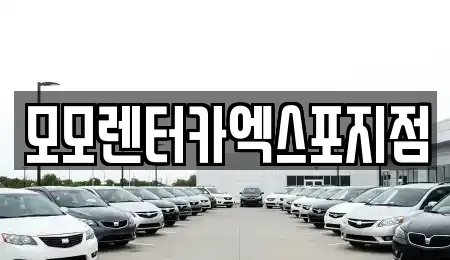 전남 여수시 국동 렌트카 전문 모모렌터카엑스포지점