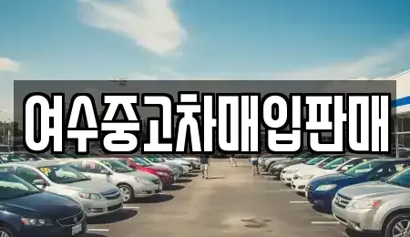 전남 여수시 문수동 단기렌트카,중고차매입,중고차매매,중고차,렌트카,장기렌트카