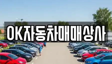 전남 여수시 학용동 중고차 전문 OK자동차매매상사