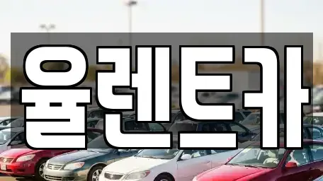 전남 화순군 동면 렌트카 전문 율렌트카