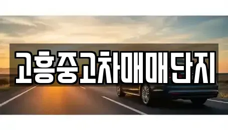 전라남도 고흥군 고흥읍 중고차 전문 고흥중고차매매단지