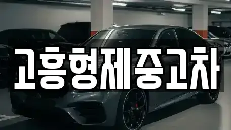 전라남도 고흥군 고흥읍 중고차 전문 고흥형제중고차