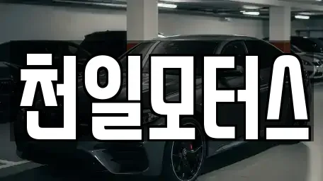 전라남도 고흥군 고흥읍 중고차 전문 천일모터스